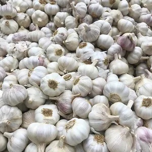 Tas jala 10kg bawang putih segar ekspor bawang putih baru untuk ajo/alho/harga pasar kemasan kecil 1kg