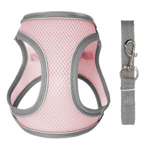 Kitten Walking Cat Leash Anti-Break Linen & Plastic Chain Cartoon Vest Chest Strap Removable & Washable - Product Image 1