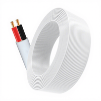 Kabel Listrik CE 2/3 Inti Twin & Earth 1-6mm Kabel Pemanas Berisolasi PVC Pipih Terlilit
