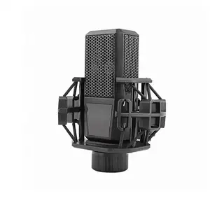 Guangzhou Set Mikrofon Studio Rekaman Mikrofon Bm800