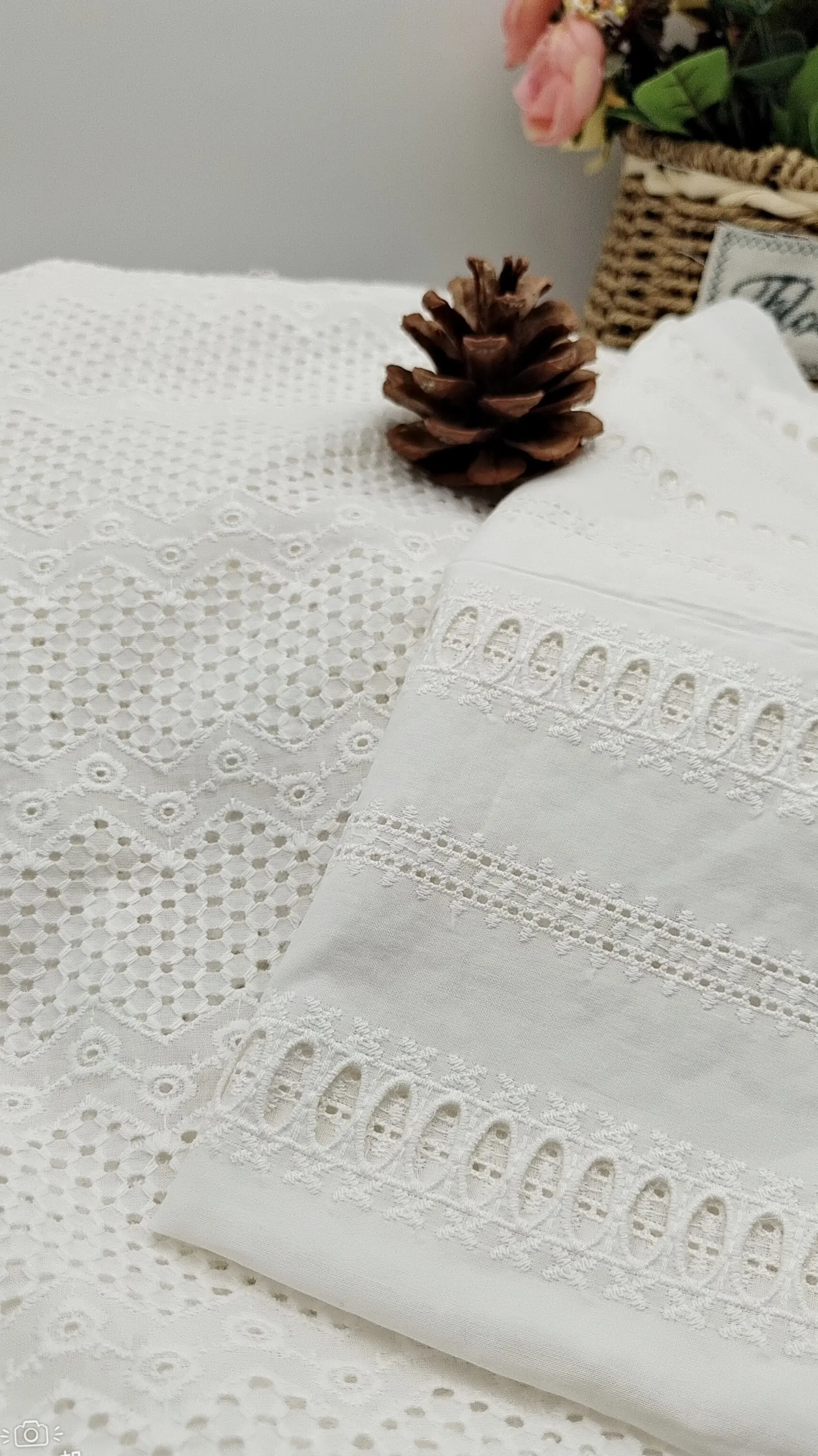 Trung Quốc dệt vải trắng thêu Thụy Sĩ Voile dây giày 100% cotton thêu vải cho phụ nữ Ăn mặc