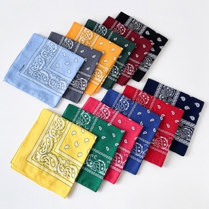 <span class=keywords><strong>Bandana</strong></span> quadrata in cotone da donna, stampa paisley hip hop, sciarpa multiuso per collo <span class=keywords><strong>e</strong></span> testa, accessori per capelli - Product Image 2