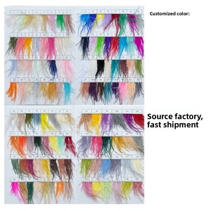 Plumes d'autruche D475 15-80 cm Afrique du Sud pour banquets, arches de mariage DIY, décorations d'allée, accessoires de table, spectacles ; Disponible - Product Image 4
