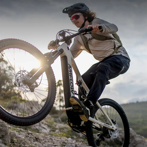 Horquilla Deportiva Amflow TL Carbon <span class=keywords><strong>FOX</strong></span> AWL con Amortiguador RAIL 2.0, Amflow TL Tuned <span class=keywords><strong>FOX</strong></span> FLOAT Rhythm LSR, Amflow TA Dropper para Bicicleta Eléctrica de Montaña - Product Image 5