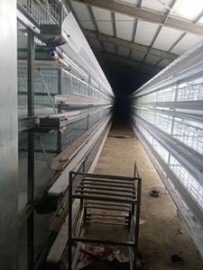 Toptan yeni durum otomatik hayvancılık ekipmanları 1500-20000 tavuk kanatlı çiftlik hayvan kafesleri indirim fiyata - Product Image 6