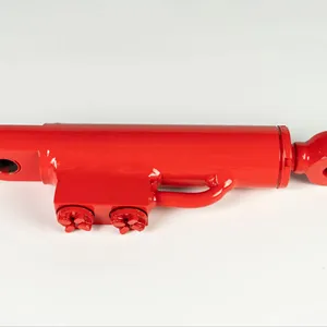 T Oem Superior Quality Customized Hydraulic Cylinder