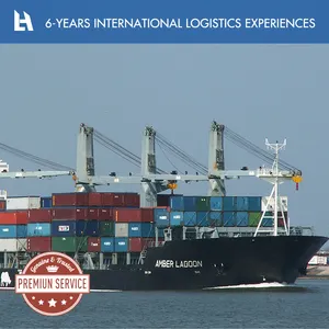 La mejor oferta de puerta a puerta de la carga de la empresa de transporte de envío marítimo a australia/Sri Lanka