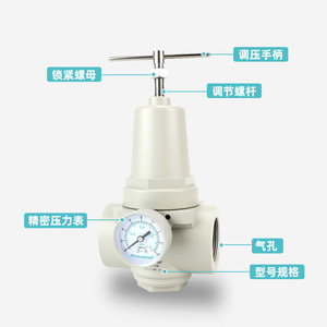 Válvula Reductora de Presión Pneulead de 1/4 Pulgada, Válvula Reguladora de Presión Media para Gas, para Fuente de Aire - Product Image 1