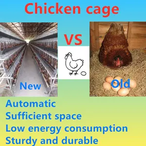 Gabbia per Galline Ovaiole a 3 Livelli e 4 Stanze, Capacità 96 Uccelli, Produzione Cinese, Design Gratuito per il Botswana - Product Image 4