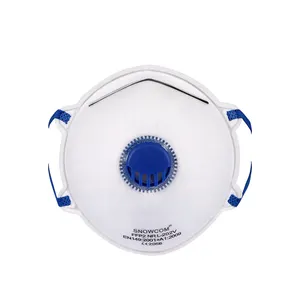 China Manufacturer Oem Disposable Earloop Nonwoven N95 Carbon Filter Respirator Dust Mask