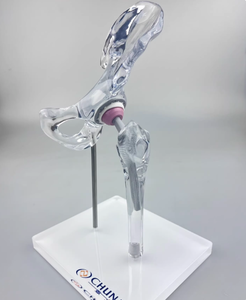 Modelo de Enseñanza Médica de Articulación de Cadera Artificial, Modelo de Entrenamiento Transparente de Alta Calidad - Product Image 3
