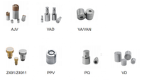 Accessoires industriels pour moules en plastique Goupille d'éjecteur d'air standard et soupape d'échappement à clapet d'air Z491