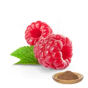 High quality natural raspberry fruit extract