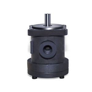Pompe hydraulique Yongling Hydraulics 50T à déplacement fixe, pompe à palettes à montage par bride pour machines industrielles légères - Product Image 1