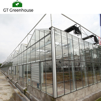 1000m2 Venlo serre en verre à vendre