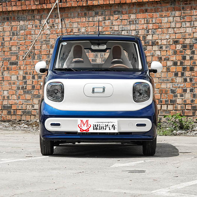 New Car 2-seater Car 3-door 4-seat Swing Door Design 29° Approach Angle 43° Departure Angle for FAW Bestune Pony
