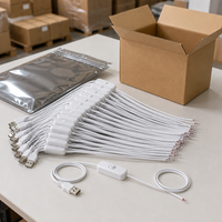 Câble USB mâle vers fils nus avec interrupteur intégré pour bande LED, lampe, projets DIY, vente en gros, blanc