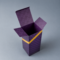 Boîte Cadeau Pliable de Haute Qualité en Papier Couché pour Cosmétiques et Soins de la Peau – Emballage Ondulé de Luxe pour Maquillage et Soins Cutanés