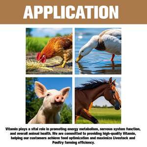 Venta al por mayor vitamina B9 en polvo ácido fólico para ganado y aves de corral grado alimenticio potenciador de nutrición a granel de animales - Product Image 2