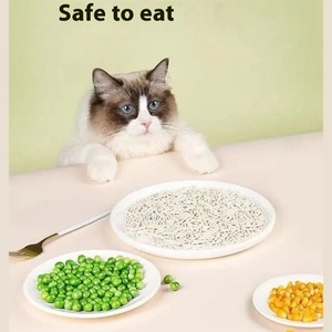 Litière pour chat sans poussière, café, citron, pomme, lavande, rose, odeur, tofu, bétonite, mélange de sable - Product Image 6