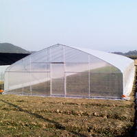 Hete-gedoopte stalen frame landbouwkas met enkele overspanning, 150/200 micron PE-folie, handmatige/elektrische ventilatie, grote maatwerk kas