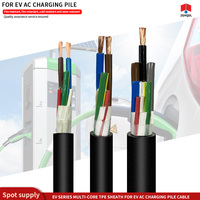 Servicio Personalizado, Cable Eléctrico de 105 Grados CA, 600V o 1000V, EVE 2*9AWG, Fabricantes de Cables, Empresas de Cables, Cable de Carga para Automóviles