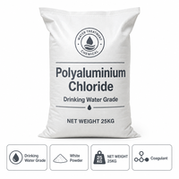 Chlorure de polyaluminium de haute pureté à faible teneur en métaux lourds, poudre blanche PAC 30% Al2O3 pour les stations de traitement de l'eau potable