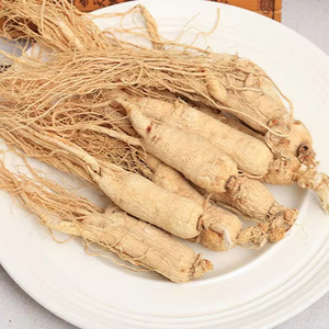 Jhd nhà máy bán buôn Chất lượng cao hữu cơ Panax <span class=keywords><strong>Ginseng</strong></span> chiết xuất nhân sâm bột 80% 1% ginsenosides cho nam giới - Product Image 4