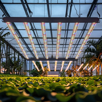 720W Led Growth Light Stkmaks Led Light Grow 3 Umol Teelt 720W 2025 Phytolamp Voor Planten