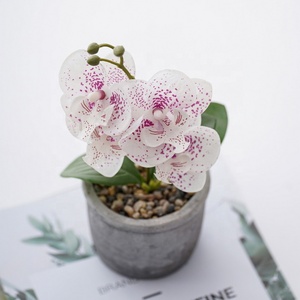 Orchidee finte Orquideas artificiale Real Touch Vivid Orchid Phalaenopsis pianta <span class=keywords><strong>orchidea</strong></span> artificiale fiori piante <span class=keywords><strong>con</strong></span> <span class=keywords><strong>vaso</strong></span> - Product Image 3