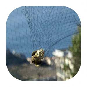 <span class=keywords><strong>Red</strong></span> Para Pegar Morcego, Murciélagos Atrapando Passaros/<span class=keywords><strong>Red</strong></span> de <span class=keywords><strong>Captura</strong></span> de Aves Morcego <span class=keywords><strong>Red</strong></span> A Brasil Recoger Murciélago - Product Image 1