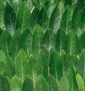 Paneles acústicos de pared de listones de MDF de alta calidad Diseño moderno clásico para control de ruido para estudio de planta abierta en uso doméstico - Product Image 4