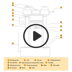 Automatic Edible <b>Oil</b> Extraction Hydraulic Cocoa Liquor Butter Avocado Soybean Coconut Cold <b>Oil</b> Press <b>Machine</b> - Product Image 3