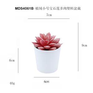 Mini flores de plástico decoradas <span class=keywords><strong>Echeveria</strong></span> Violet Queen plantas suculentas de cerámica en maceta para decoración de casa interior - Product Image 6