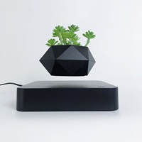 Magia levitando olla nórdico estilo magnético levitando planta creativo y moderno regalo flotante flor maceta decoración hogar
