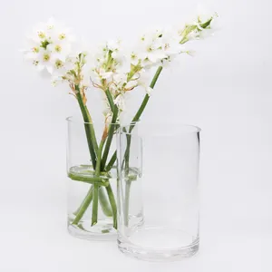 Helder Glas Cilinder Tafel Vazen Voor Thuis En Een Huwelijksfeest