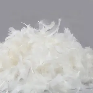 China Down Source Factory Fine Washing Machine Washing 90% High White Duck Feather for Sale