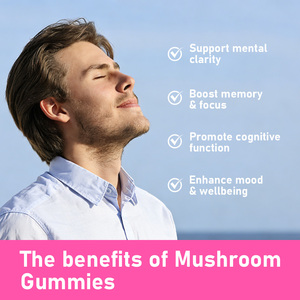 High Quality Mushroom Gummies 10 In 1 Blend for Adults Brain Mood Cognitive Health Mushroom Mood Relaxation Lions Mushroom - Product Image 3