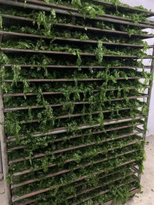 Ulva Aosa, copos picados secos, Aonori Nori, caja de ingredientes para alimentos de algas marinas, cartón de 10kg - Product Image 3