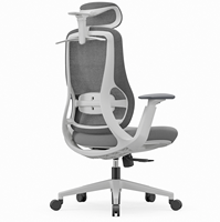 Support direct usine pour la personnalisation, la configuration et la couleur. Chaises de bureau ergonomiques, chaises de direction et chaises d'étude.