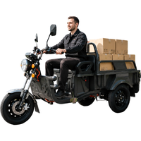 Tricycle électrique 800W, capacité de charge 300 kg, batterie au plomb-acide 60V, mini tricycle électrique de transport, petit et efficace pour le transport
