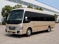 Autobus YBL6805HQJ 24-31 places Euro 3 Diesel Transmission Manuelle Utilisé pour la Réception d'Entreprises et les Voyages Courts en Charter