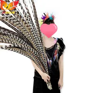 ZPDECOR Grosir Bulu Ekor Burung Pegar Reeve Alami Super Panjang untuk Desain Kostum Karnaval