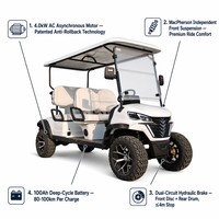 Carrito de Golf Eléctrico de Lujo de 4 Plazas Todoterreno con Batería de Litio de 72v 120Ah, Certificado CE