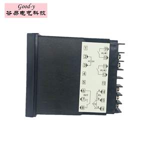 Termostato REX-C100 de Alta Calidad Directo de Fábrica, Relé de Estado Sólido, Sonda de Temperatura de 1 Metro, Interruptores de Control de Temperatura TDS - Product Image 1