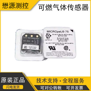 Capteur de gaz combustible City Micropel 75 CH4 SR-W-MP75 pour la détection du méthane - Product Image 5