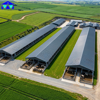 Structure en acier préfabriquée pour abri de bétail, cadre Q235B, portée libre de 40 m pour étable à vaches au Sénégal