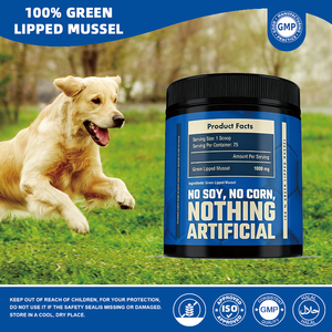 Polvo de Mejillón Verde 100% Natural en Tarro de 75g, Fuente de Omega 3 y Glucosamina para Perros y Gatos, Venta al Por Mayor - Product Image 3