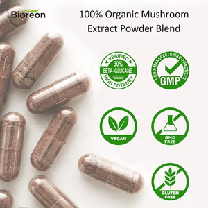 Cápsulas Orgânicas de Cogumelo Lion's Mane para Saúde Cerebral, Suporte Cognitivo, Foco, Melhora da Memória e Benefícios Nootrópicos - Product Image 3