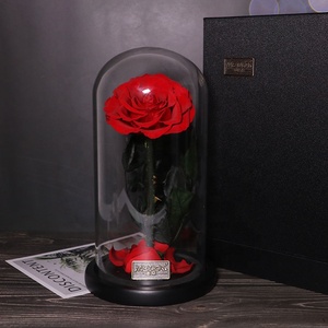Suministro directo de fábrica 2023, superventas, Rosa eterna, flor preservada, <span class=keywords><strong>rosas</strong></span> para siempre en cúpula de cristal led - Product Image 3
